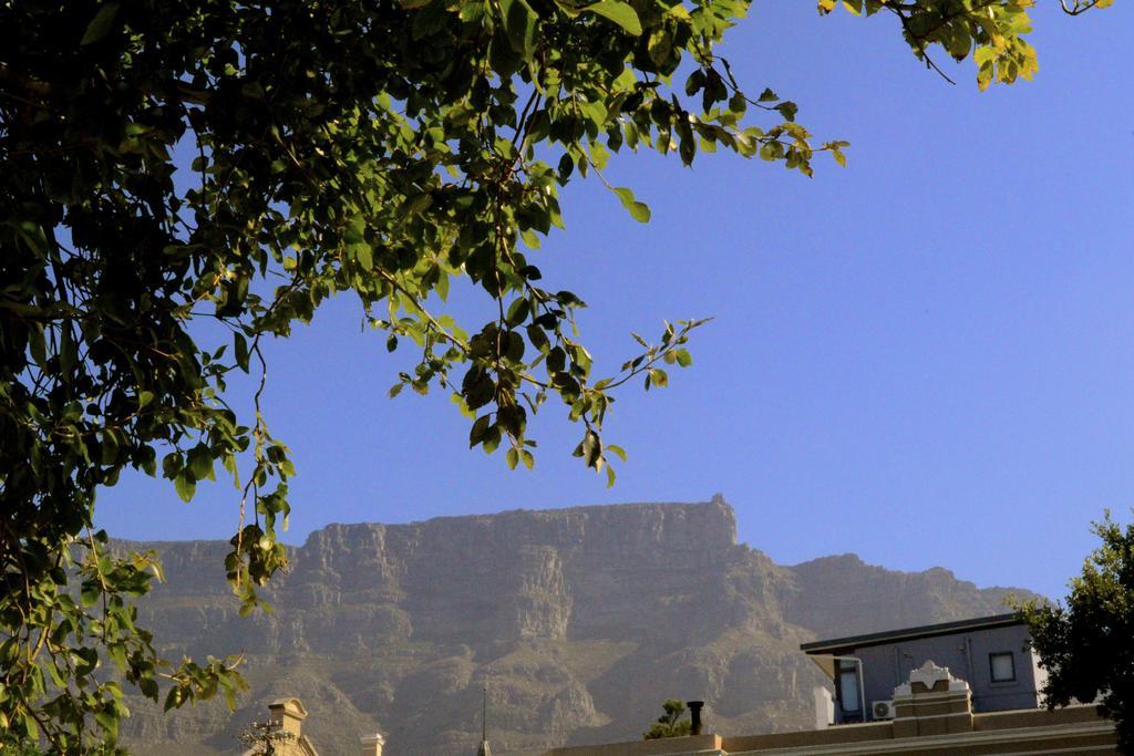 Ikhaya Lodge Кейптаун Экстерьер фото